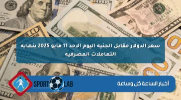 سعر الدولار مقابل الجنيه اليوم الأحد 11 مايو 2025 بنهاية التعاملات المصرفية